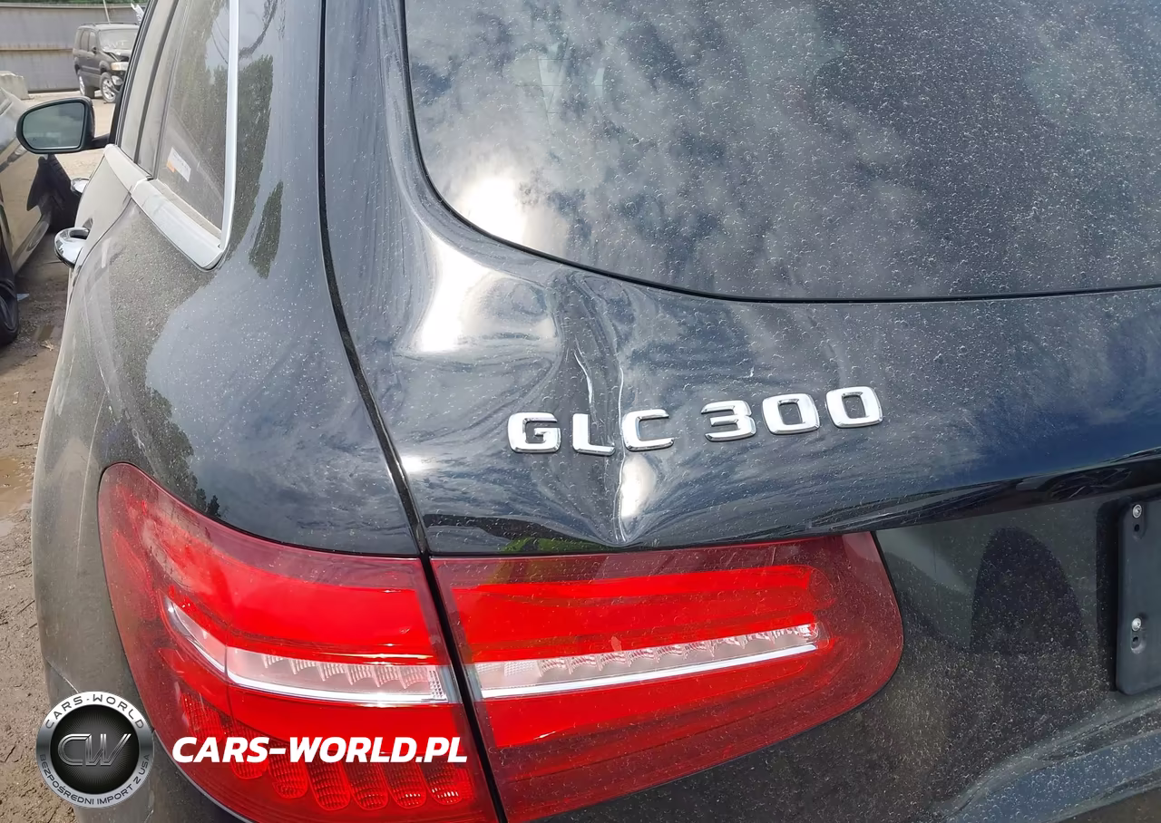 2016 Mercedes-Benz Glc 300 4Matic VIN:WDC0G4KB6GF065583 - 19