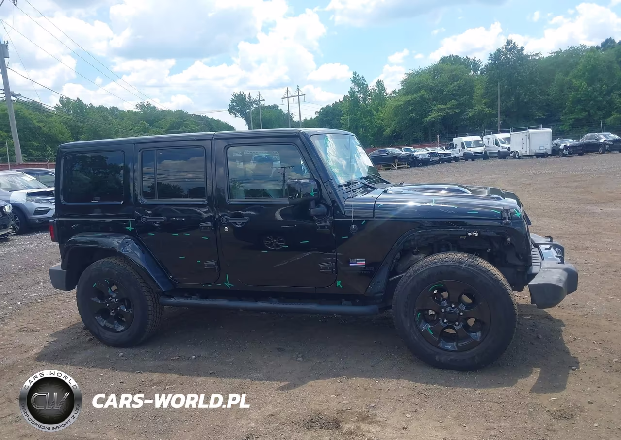 2015 Jeep Wrangler Unlimited Altitude VIN:1C4BJWEG1FL667813 - 13