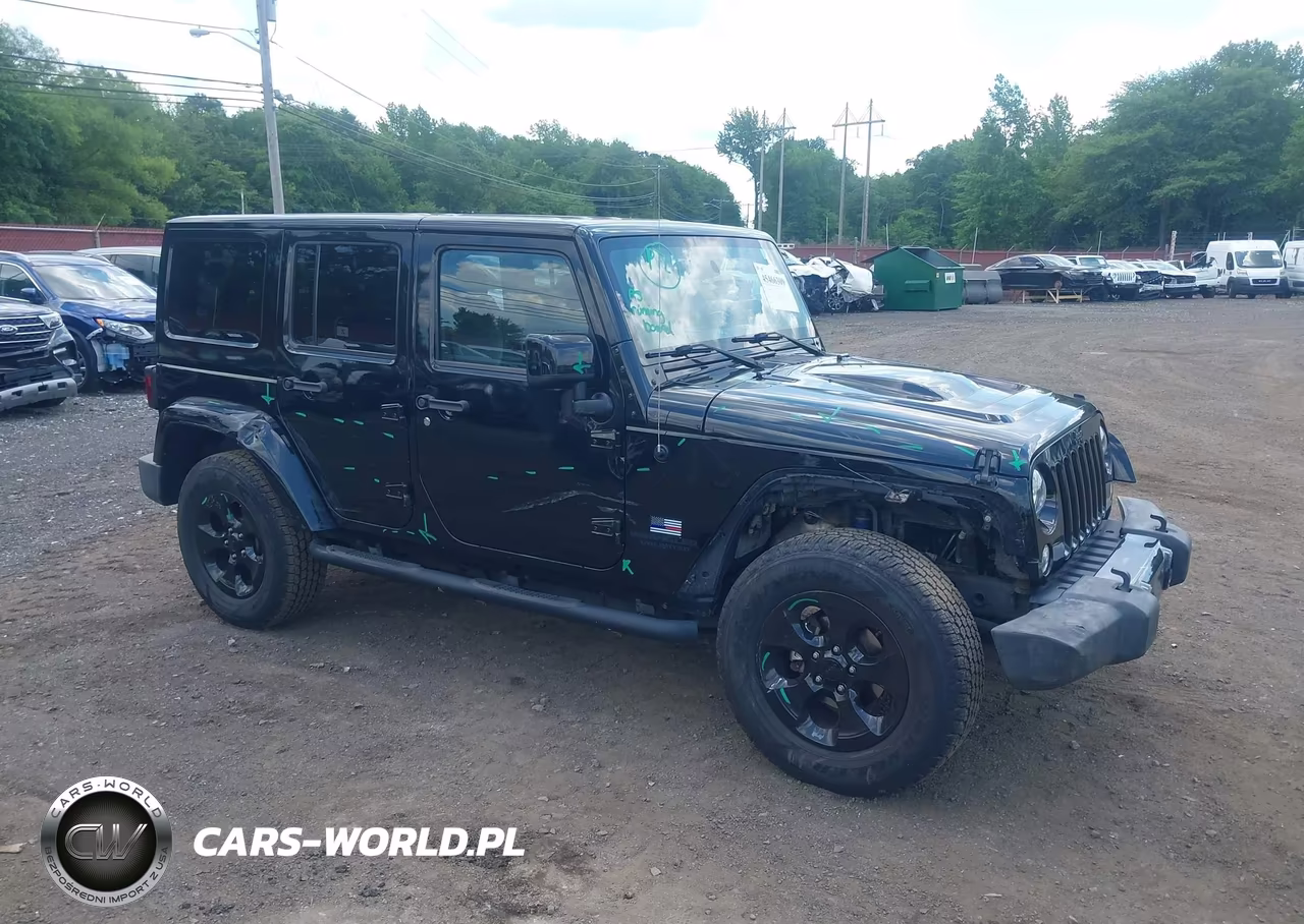 2015 Jeep Wrangler Unlimited Altitude VIN:1C4BJWEG1FL667813 - 17