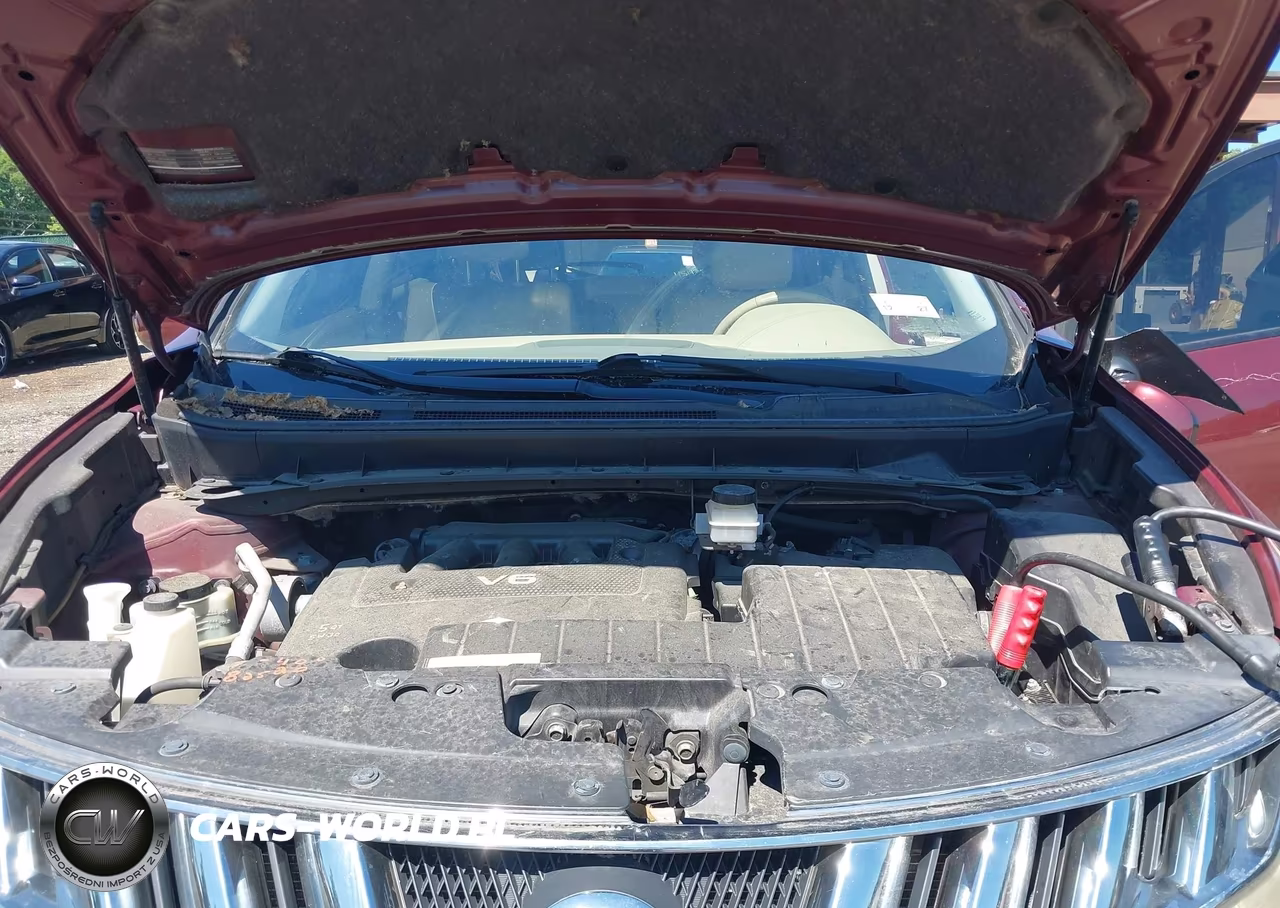 2010 Nissan Murano Sl VIN:JN8AZ1MW8AW140881 - 10