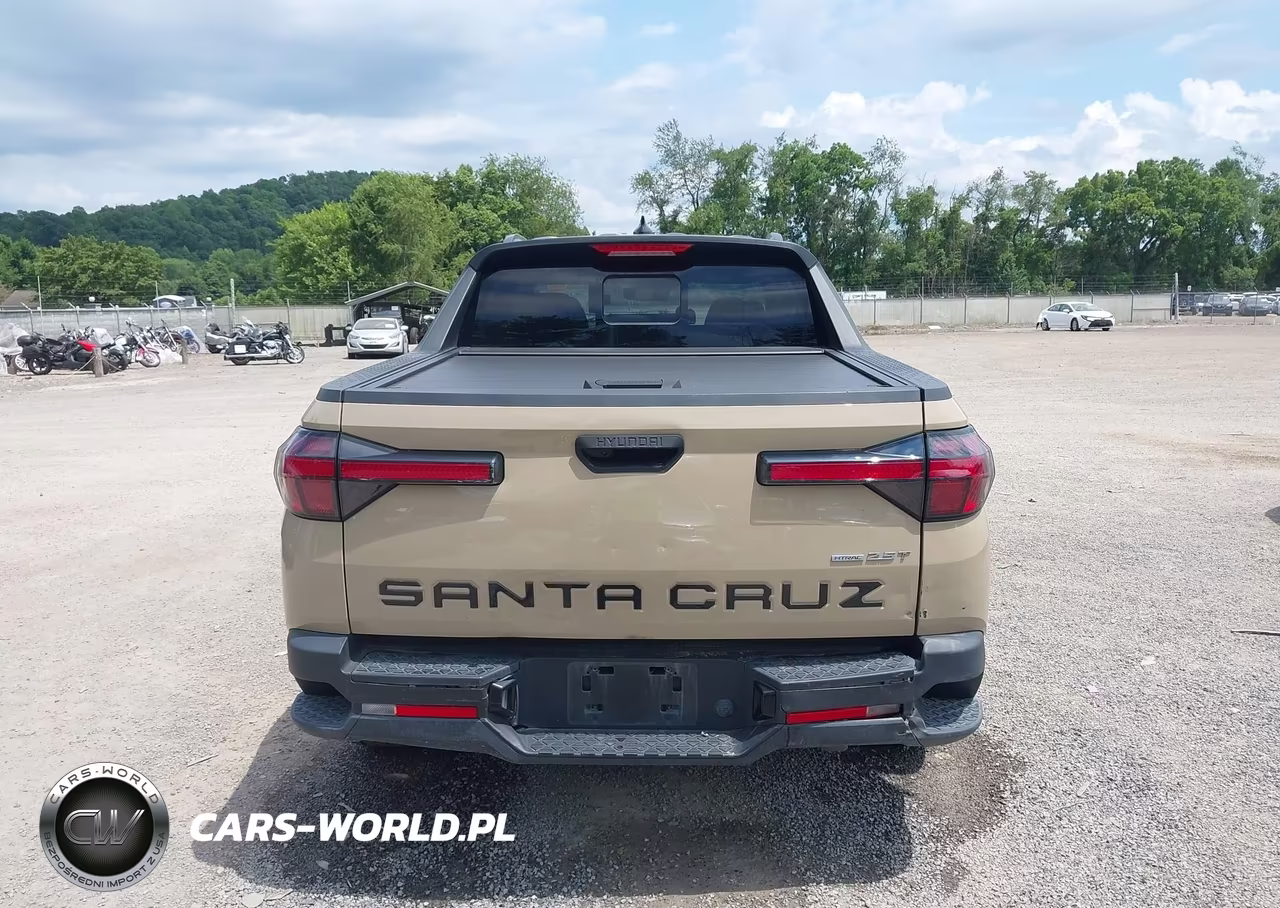 2023 Hyundai Santa Cruz Sel Premium VIN:5NTJDDAFXPH053628 - 17