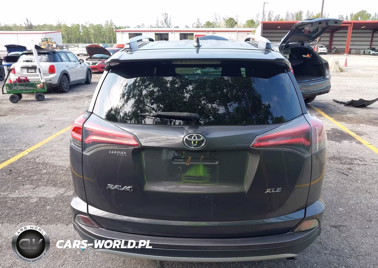 2016 Toyota Rav4 Xle VIN:2T3WFREV9GW271162 - 17