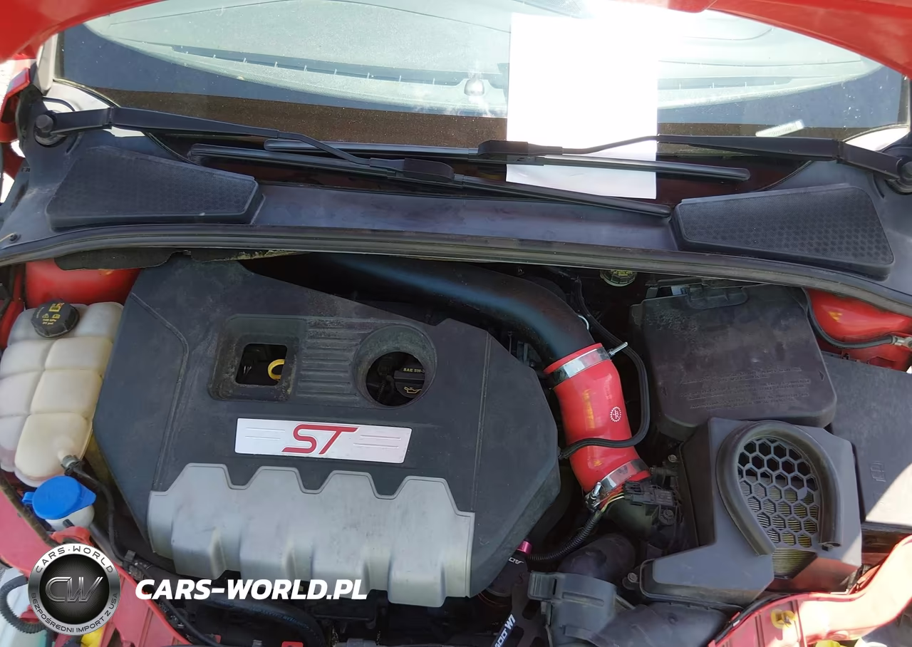 2014 Ford Focus St VIN:1FADP3L96EL191749 - 10