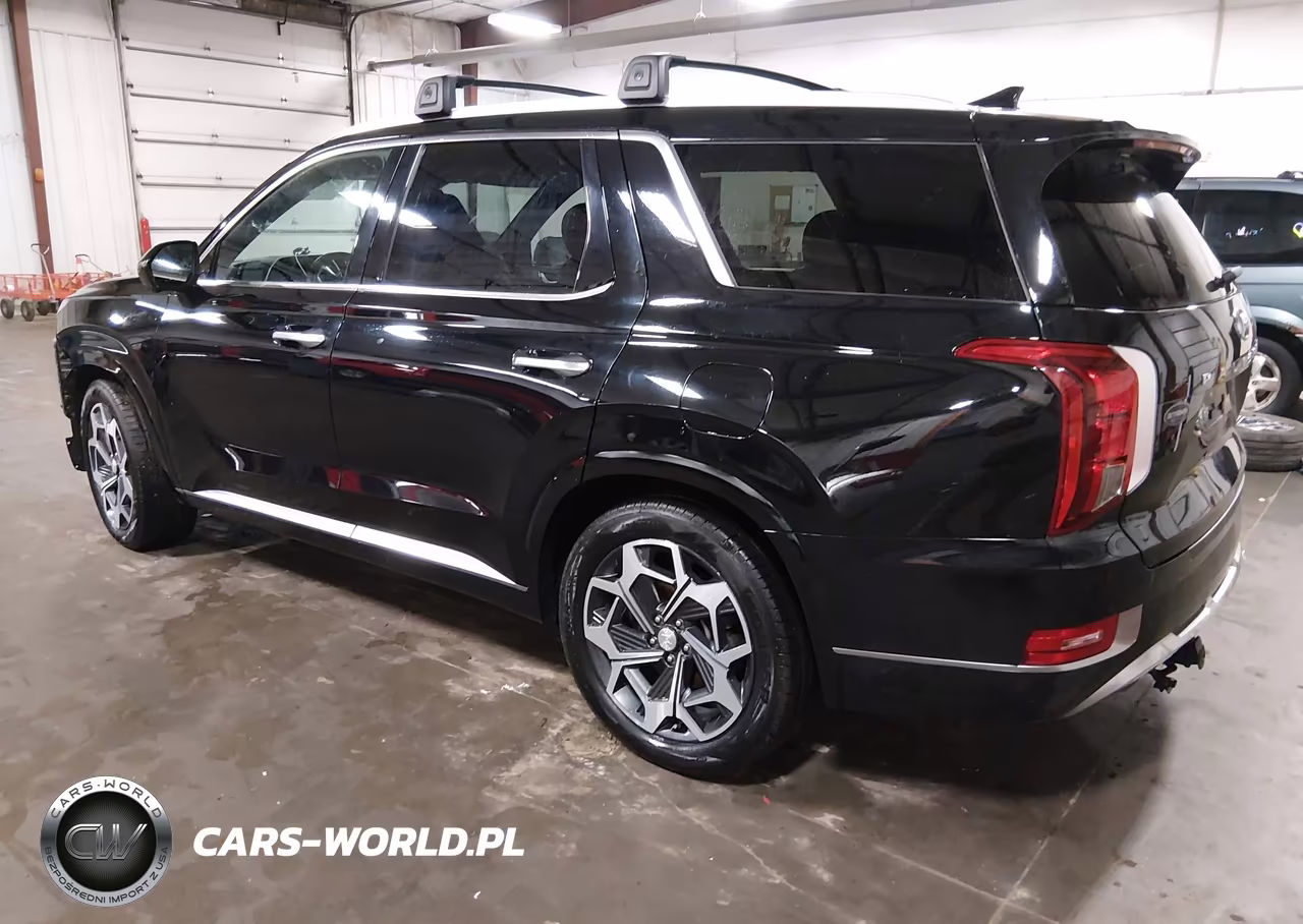 2022 Hyundai Palisade Calligraphy VIN:KM8R7DHE2NU381940 - 3
