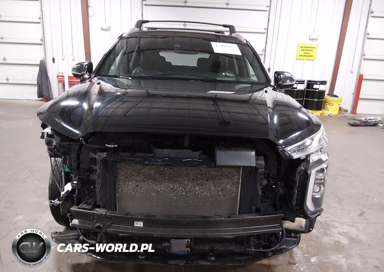 2022 Hyundai Palisade Calligraphy VIN:KM8R7DHE2NU381940 - 6