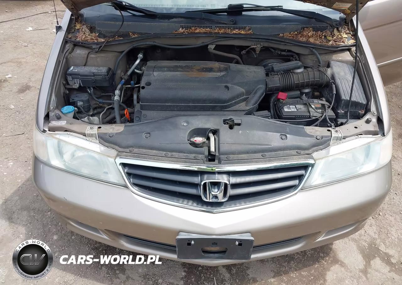 2004 Honda Odyssey Ex VIN:5FNRL18634B079099 - 10