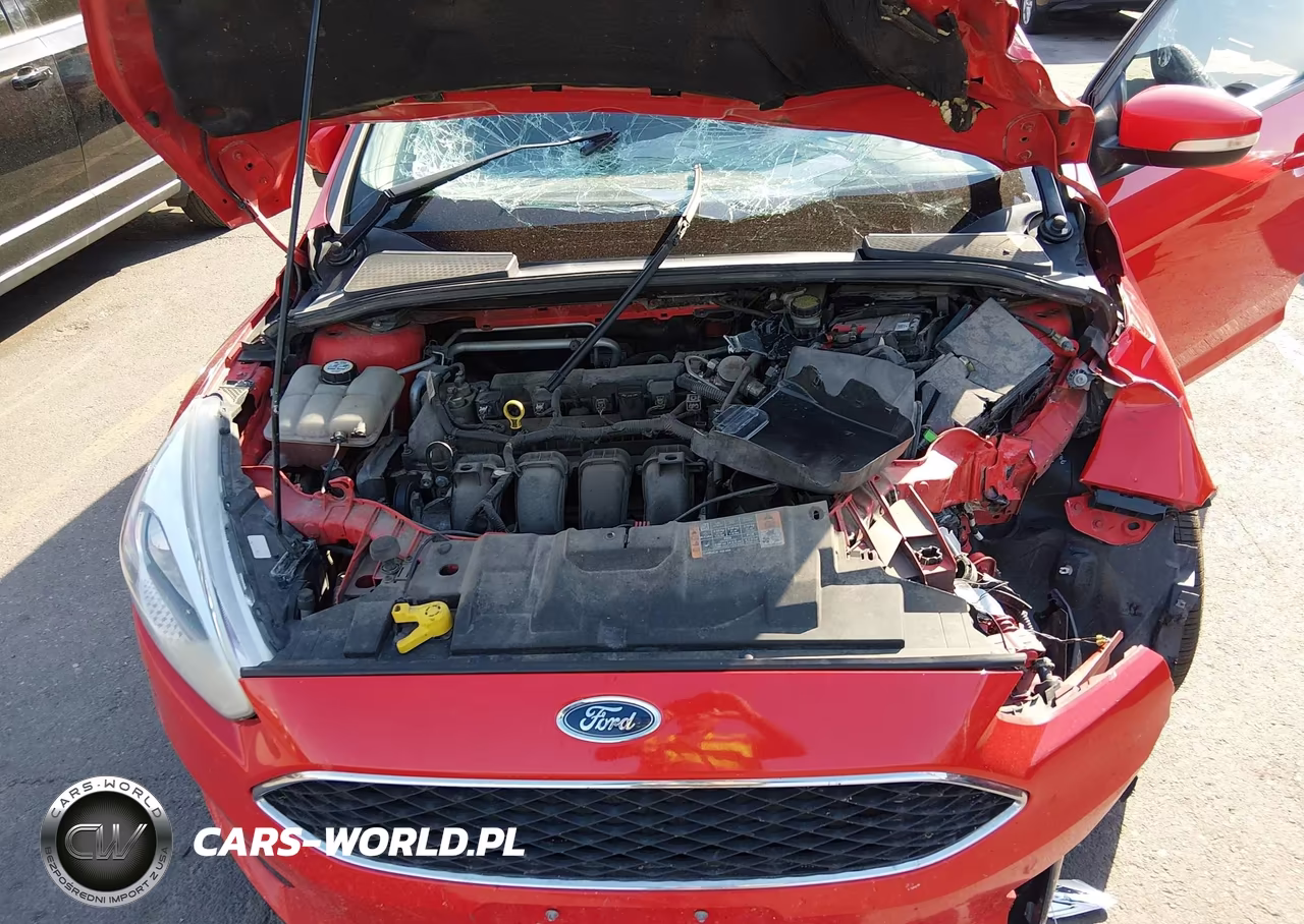 2016 Ford Focus Se VIN:1FADP3K24GL373554 - 10