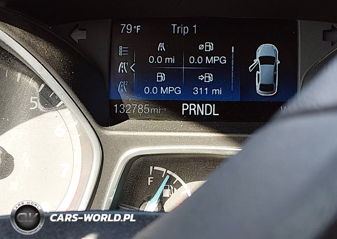 2016 Ford Focus Se VIN:1FADP3K24GL373554 - 15