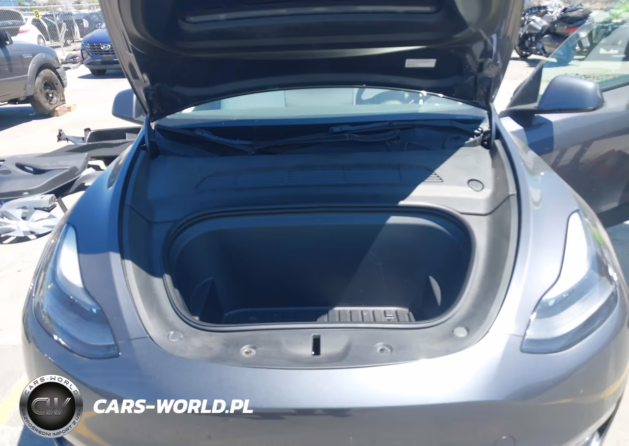 2023 Tesla Model Y Awd-Long Range Dual Motor All-Wheel Drive VIN:7SAYGDEE5PF690093 - 10