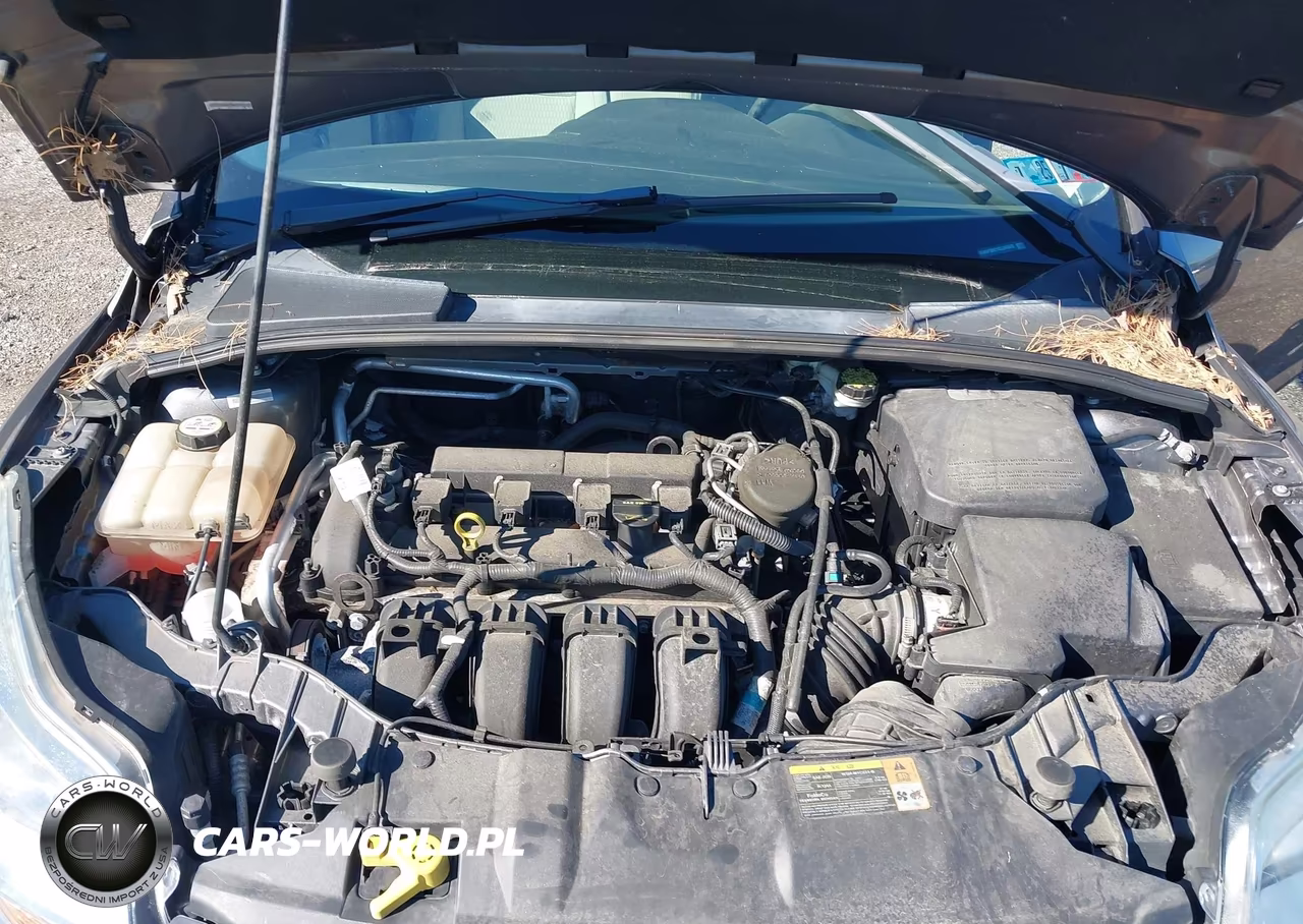2012 Ford Focus Sel VIN:1FAHP3M21CL345932 - 10