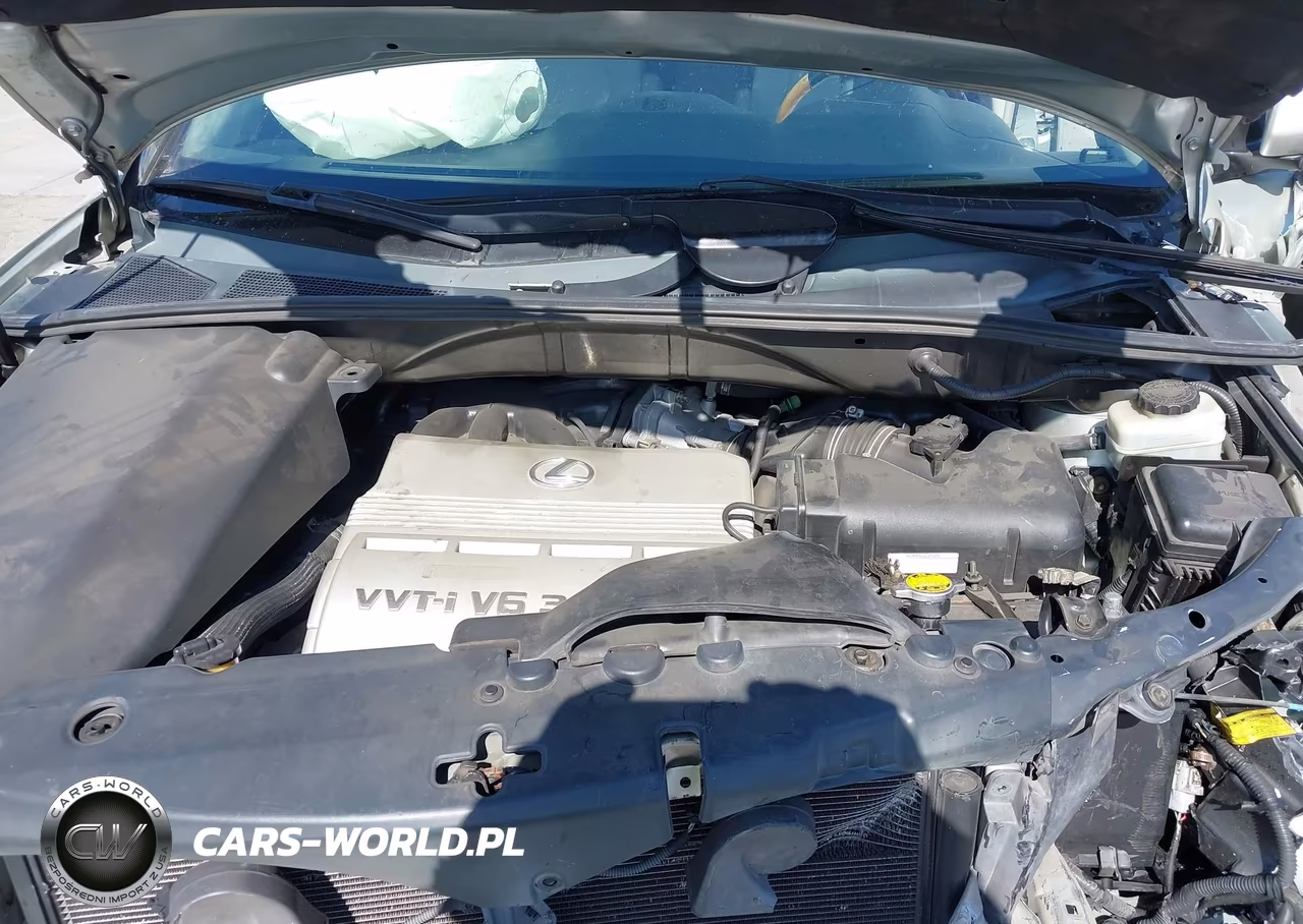 2006 Lexus Rx 330 VIN:2T2GA31U56C043676 - 10