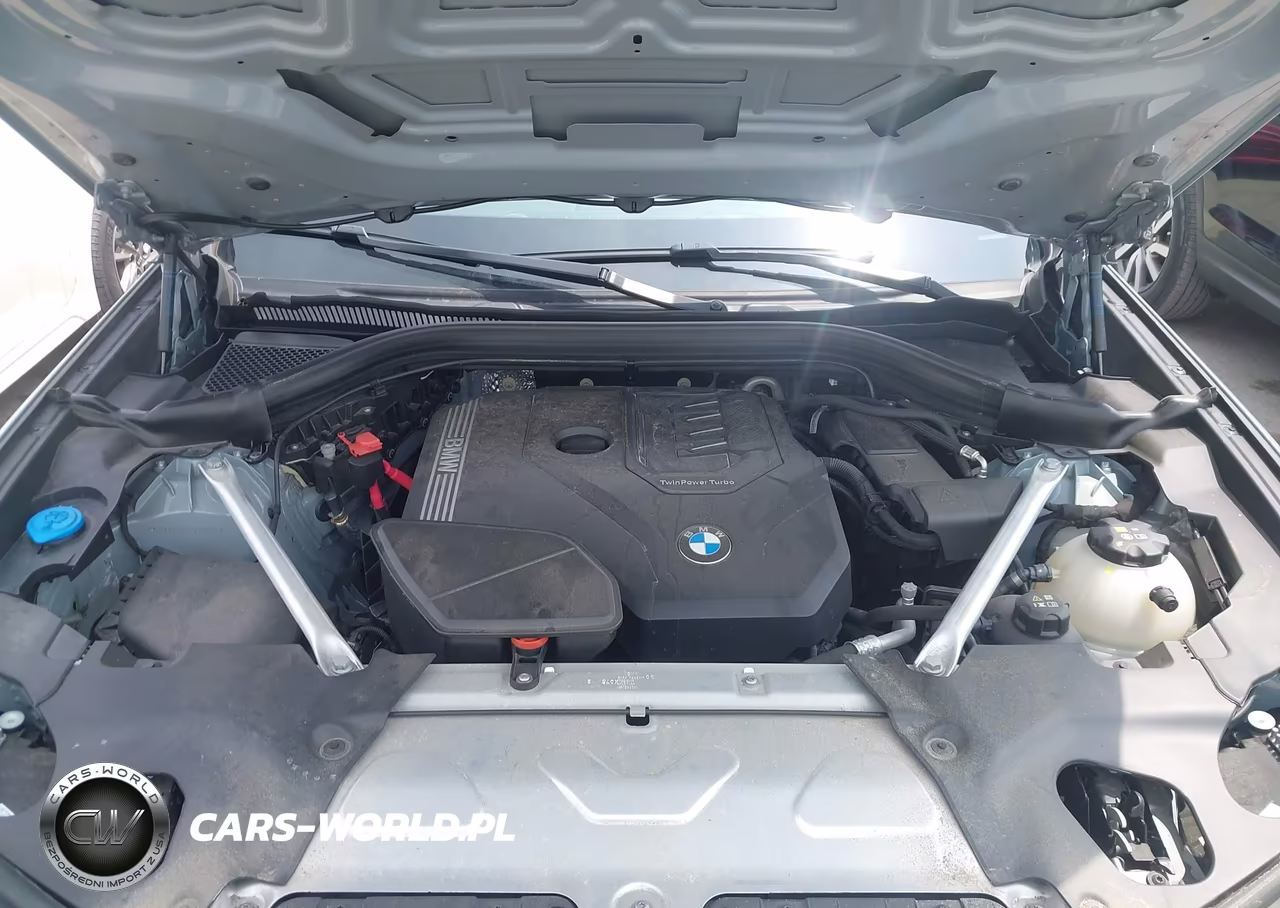 2023 BMW X4 xDrive30I VIN:5UX33DT09P9S11001 - 10