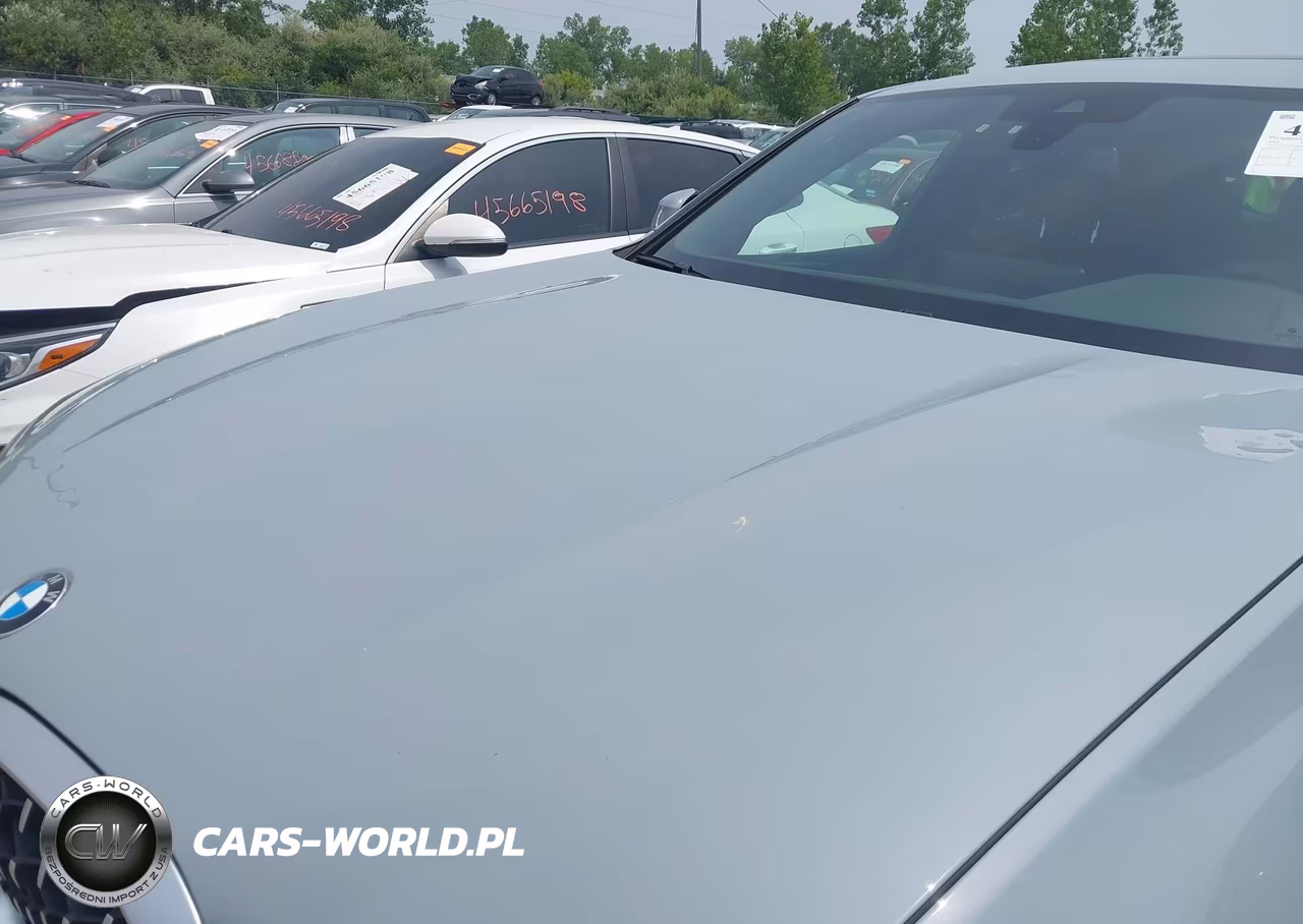 2023 BMW X4 xDrive30I VIN:5UX33DT09P9S11001 - 6
