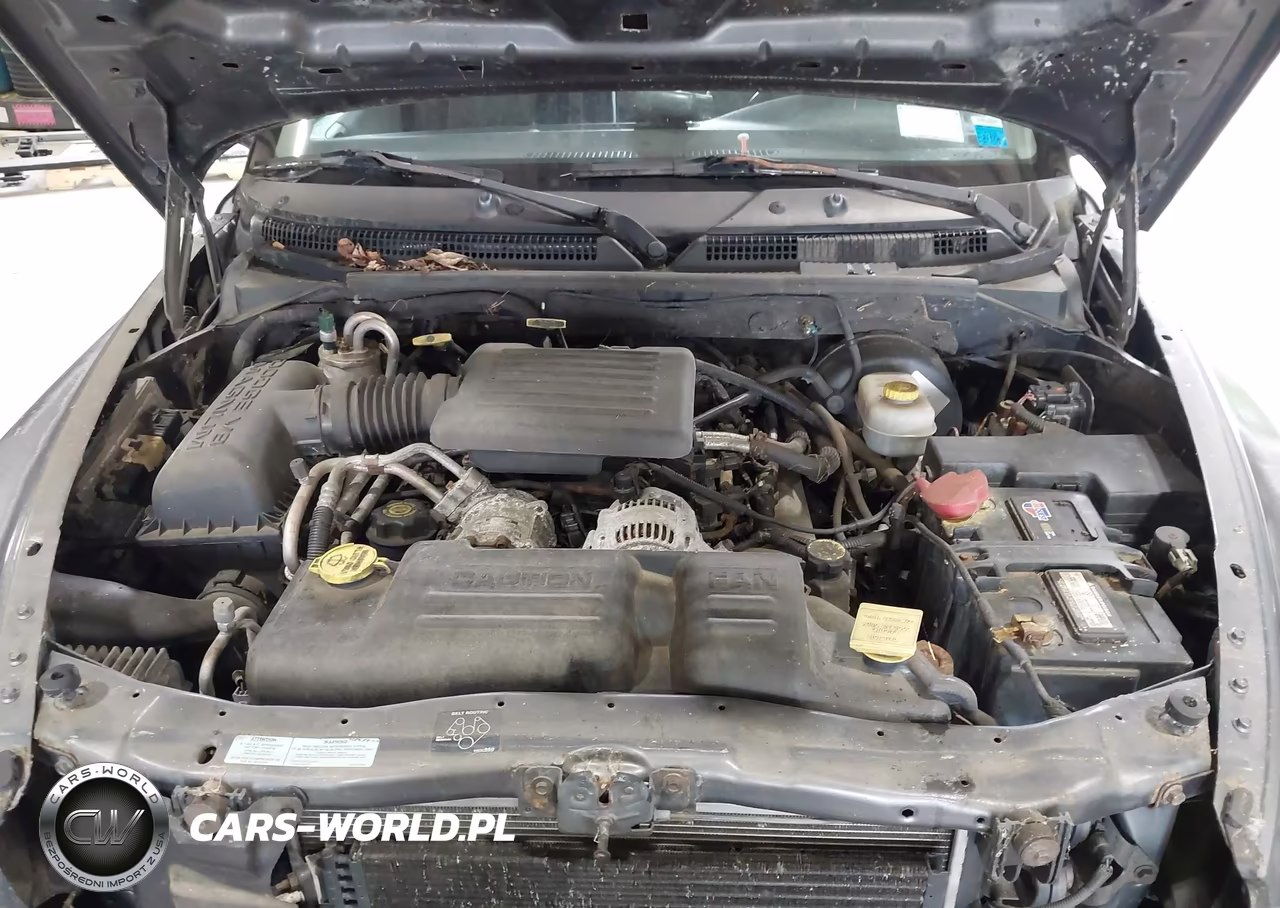 2001 Dodge Dakota Slt-Sport VIN:1B7GG22N11S336003 - 10