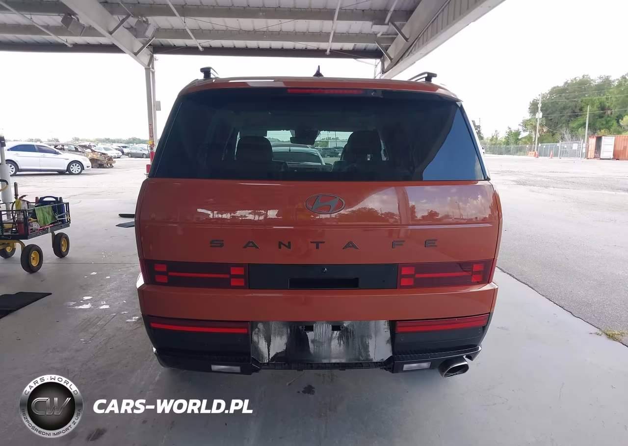 2024 Hyundai Santa Fe Calligraphy VIN:5NMP54GL2RH055201 - 16