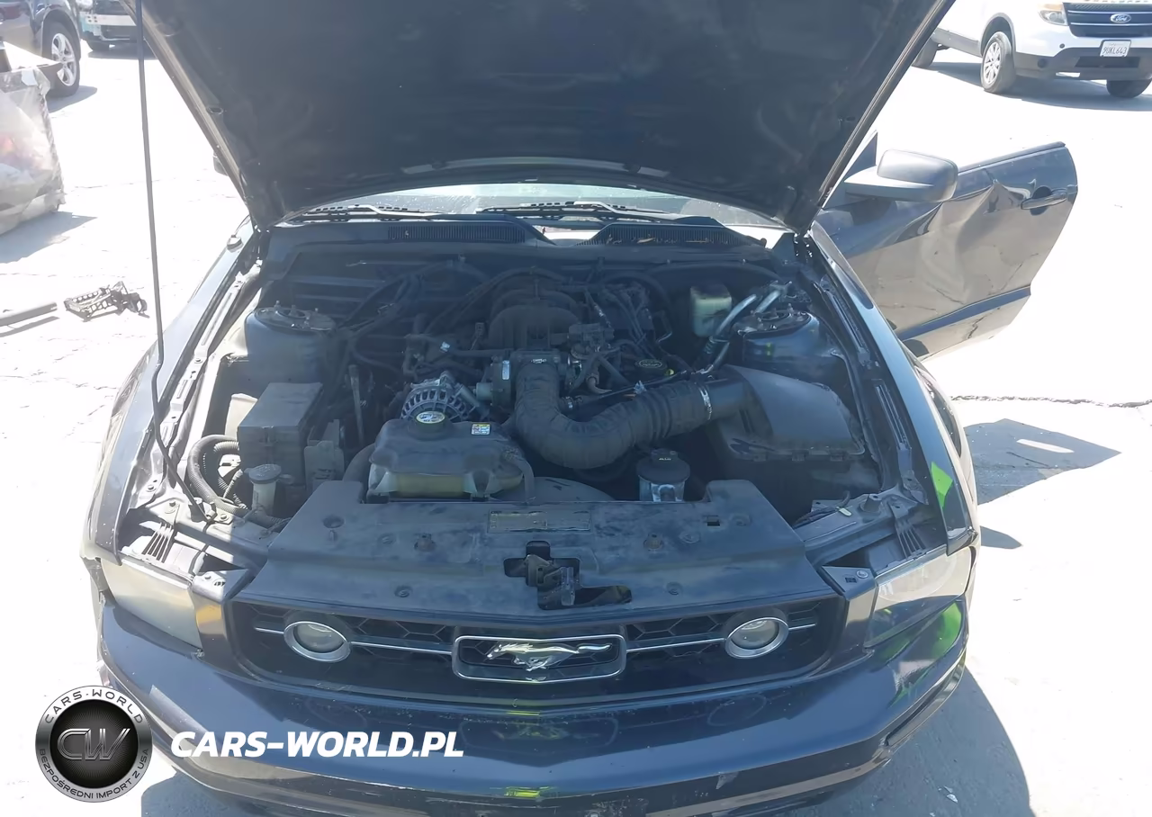 2008 Ford Mustang V6 Premium VIN:1ZVHT80N785134973 - 10