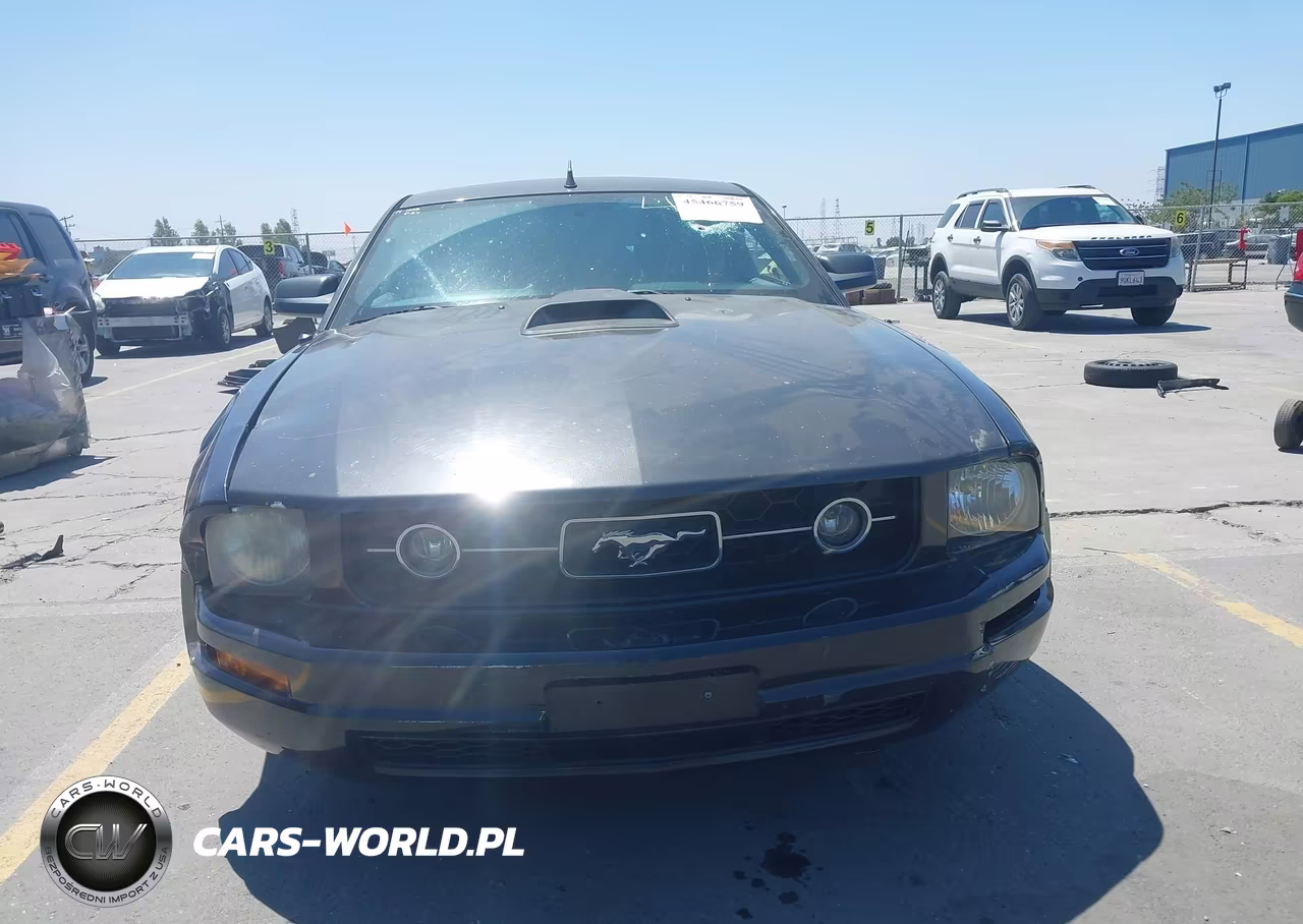2008 Ford Mustang V6 Premium VIN:1ZVHT80N785134973 - 12