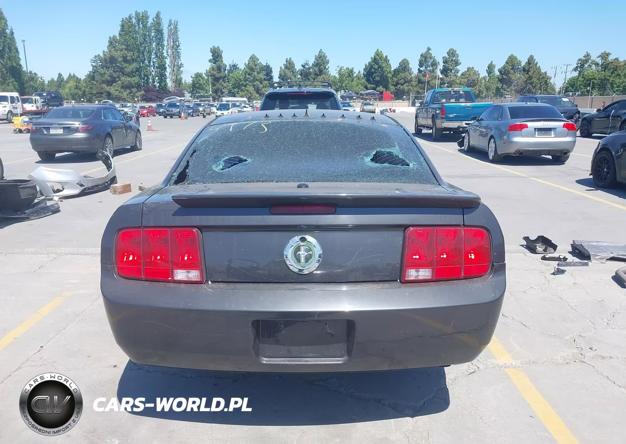 2008 Ford Mustang V6 Premium VIN:1ZVHT80N785134973 - 16