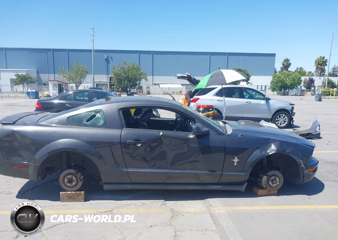 2008 Ford Mustang V6 Premium VIN:1ZVHT80N785134973 - 6