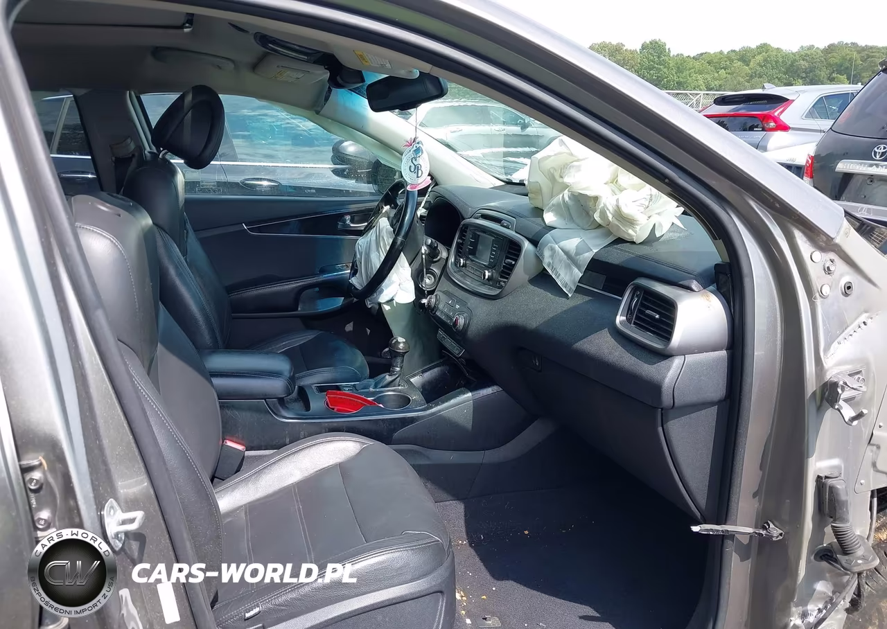 2016 Kia Sorento 2.4L Lx VIN:5XYPG4A39GG019452 - 5