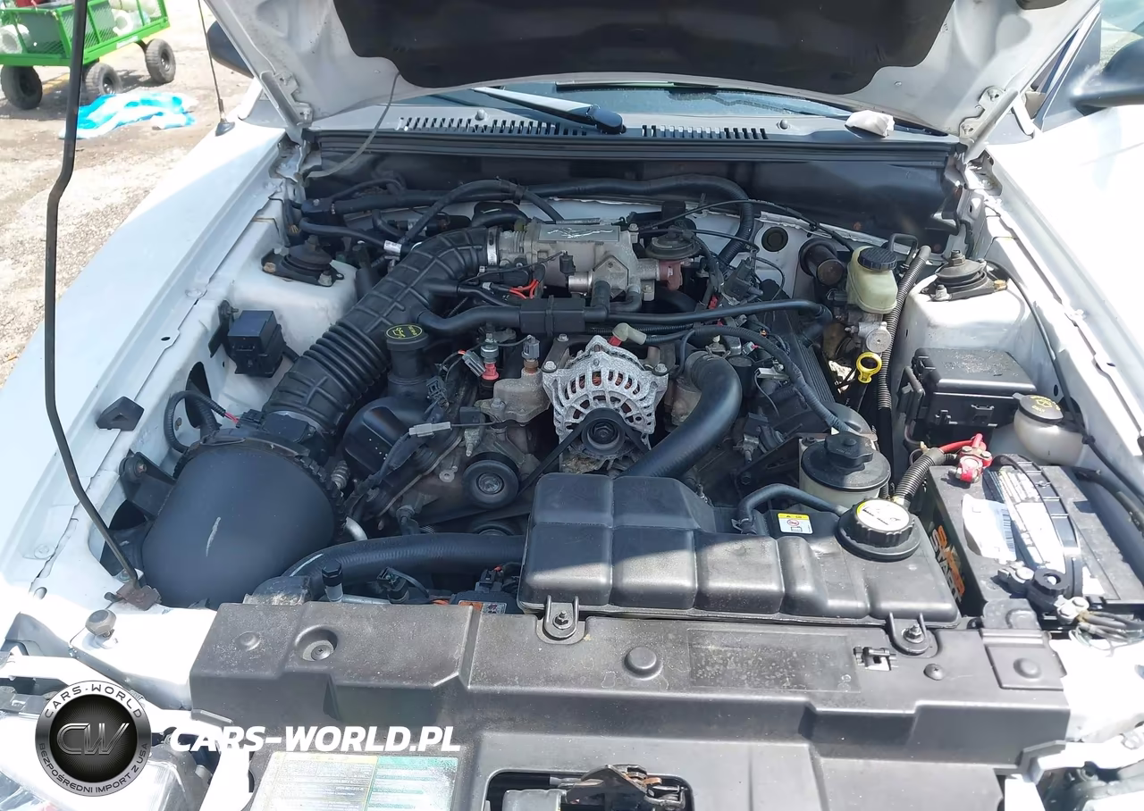 2003 Ford Mustang Gt VIN:1FAFP45X53F348743 - 10