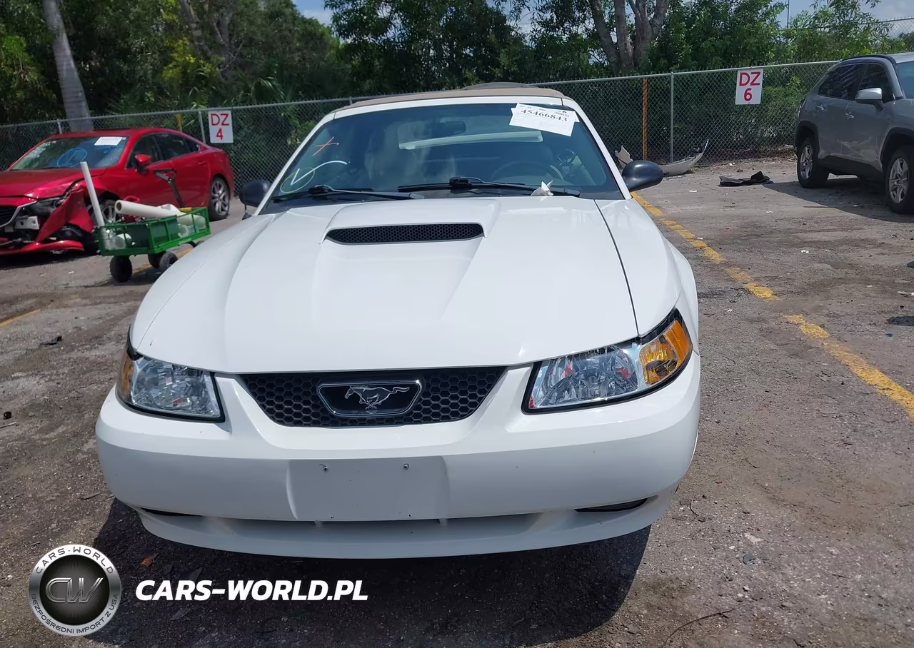 2003 Ford Mustang Gt VIN:1FAFP45X53F348743 - 12