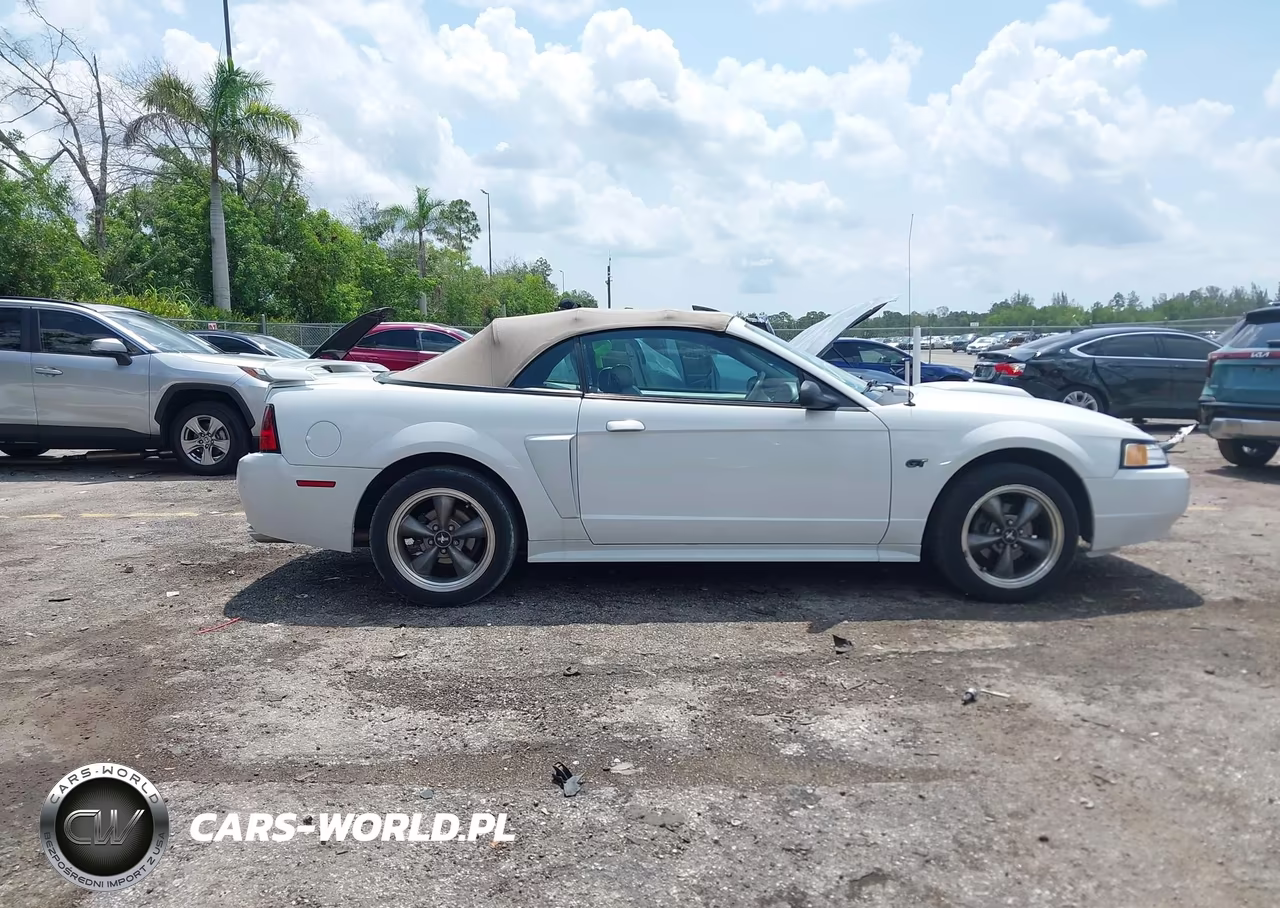 2003 Ford Mustang Gt VIN:1FAFP45X53F348743 - 13