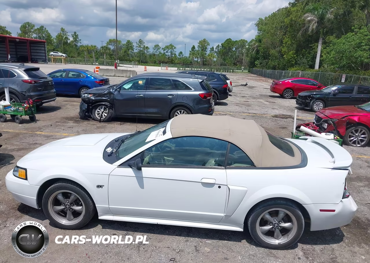 2003 Ford Mustang Gt VIN:1FAFP45X53F348743 - 14