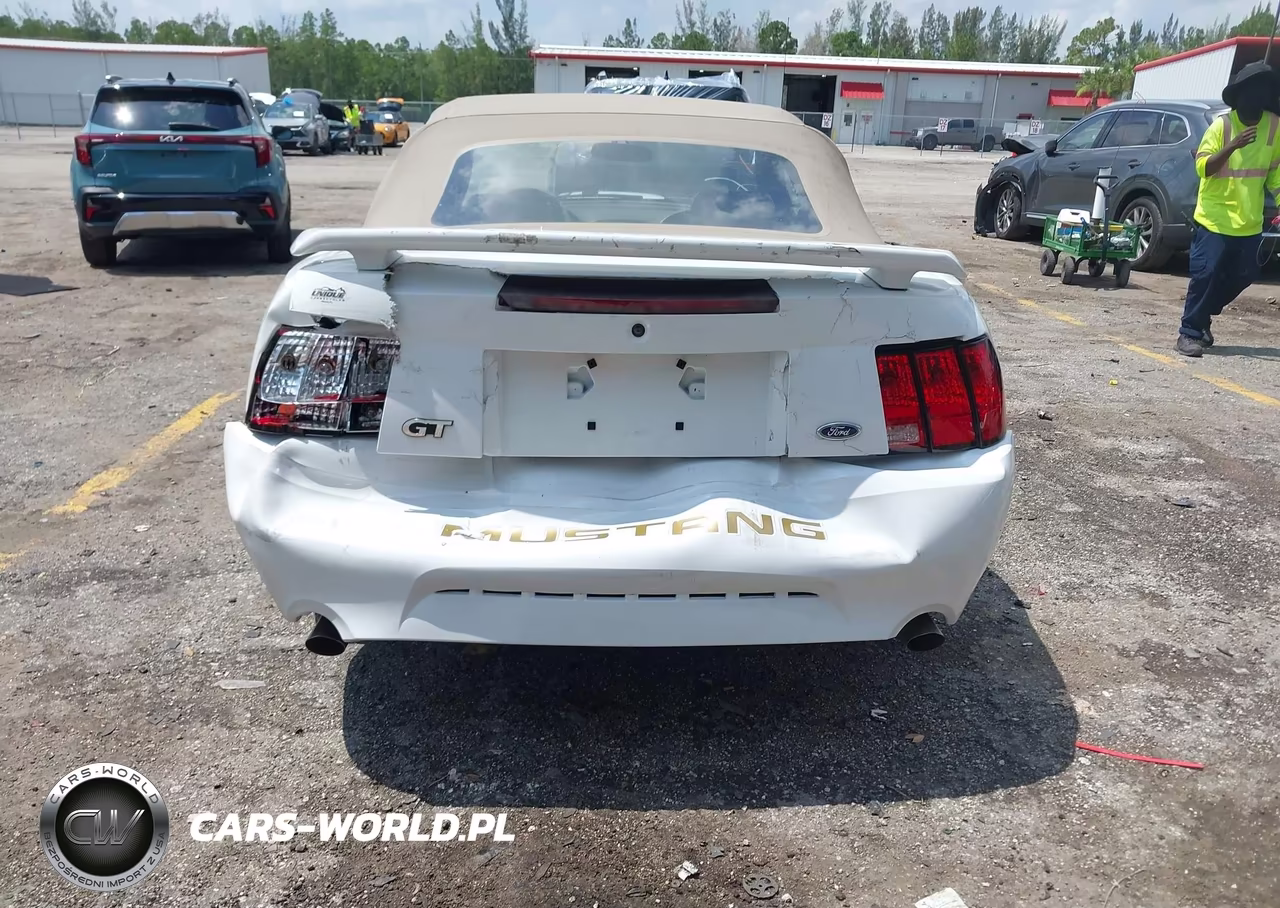 2003 Ford Mustang Gt VIN:1FAFP45X53F348743 - 16