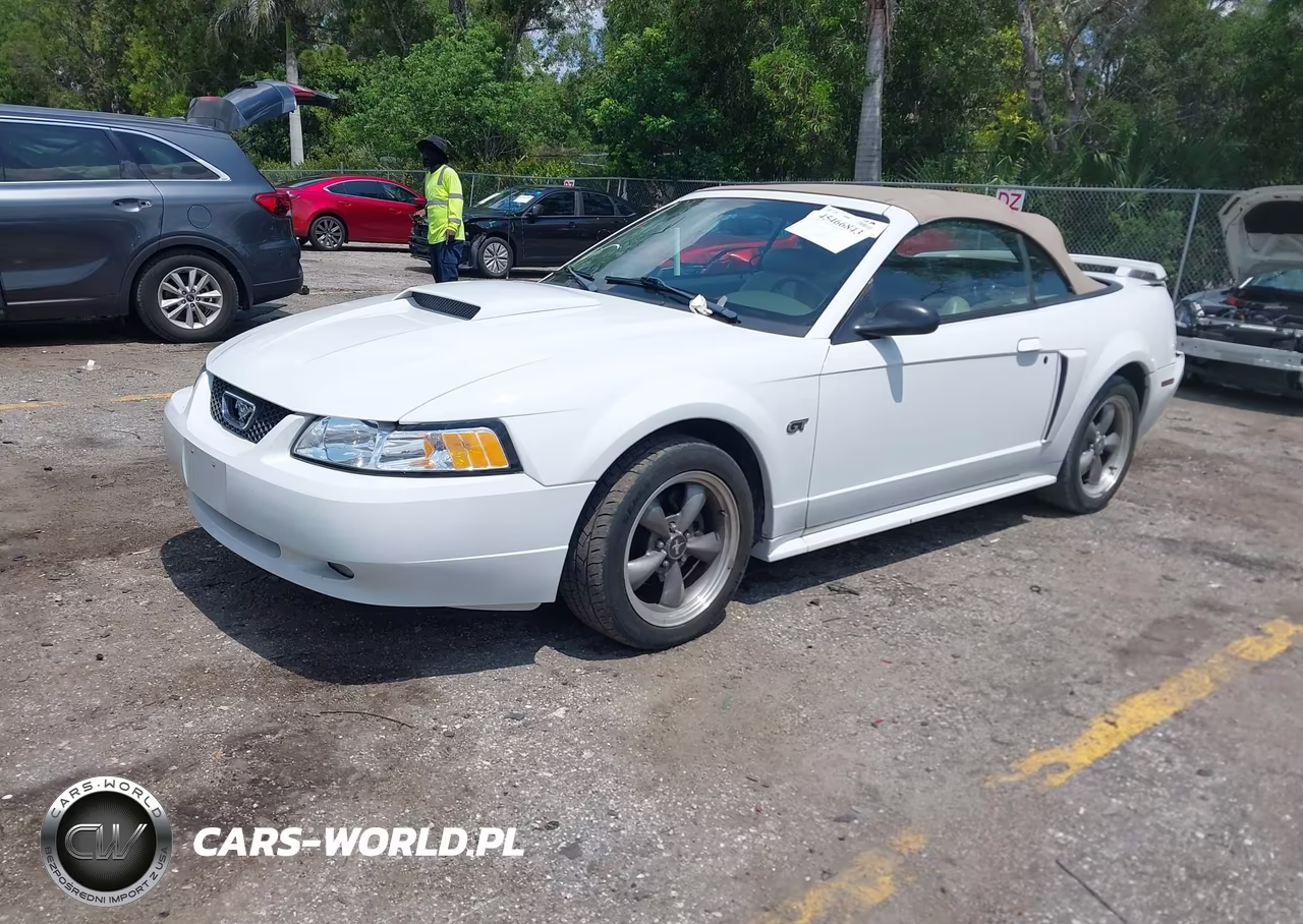 2003 Ford Mustang Gt VIN:1FAFP45X53F348743 - 2