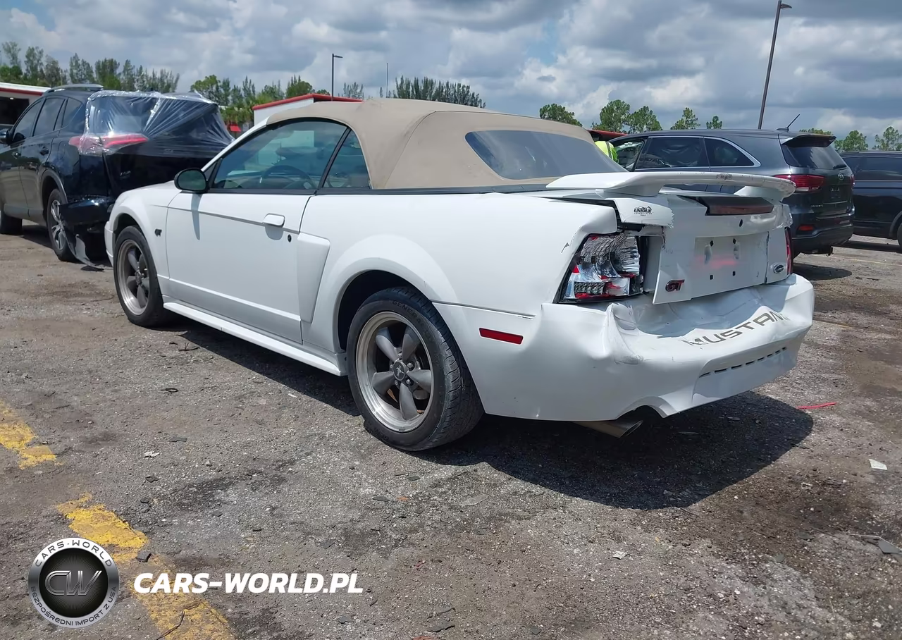 2003 Ford Mustang Gt VIN:1FAFP45X53F348743 - 3