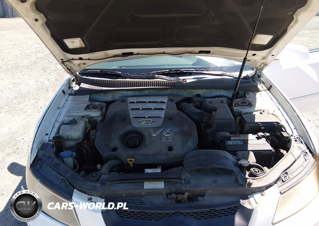 2006 Hyundai Sonata Gls V6-Lx V6 VIN:5NPEU46F16H080353 - 10