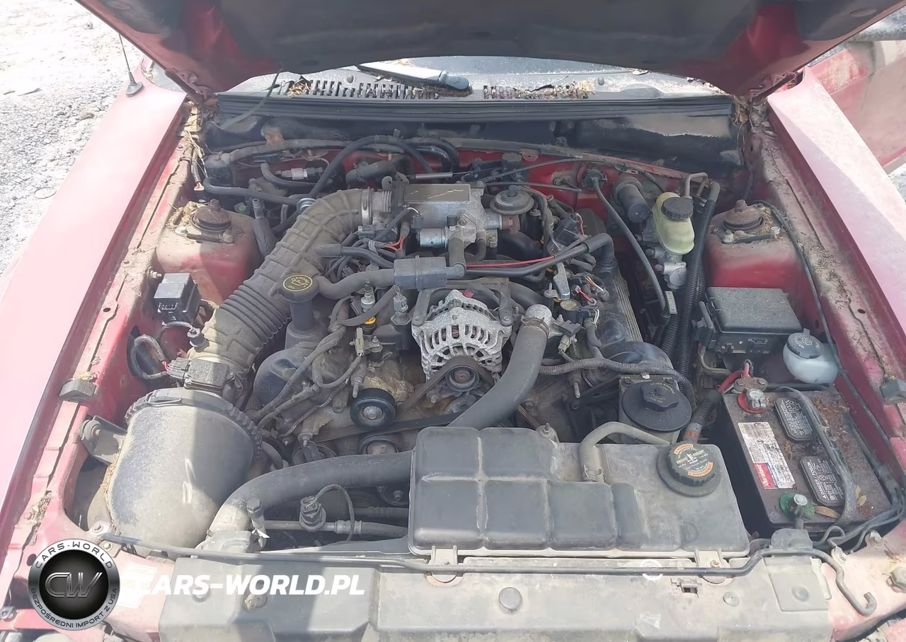 2000 Ford Mustang Gt VIN:1FAFP45X6YF134156 - 10