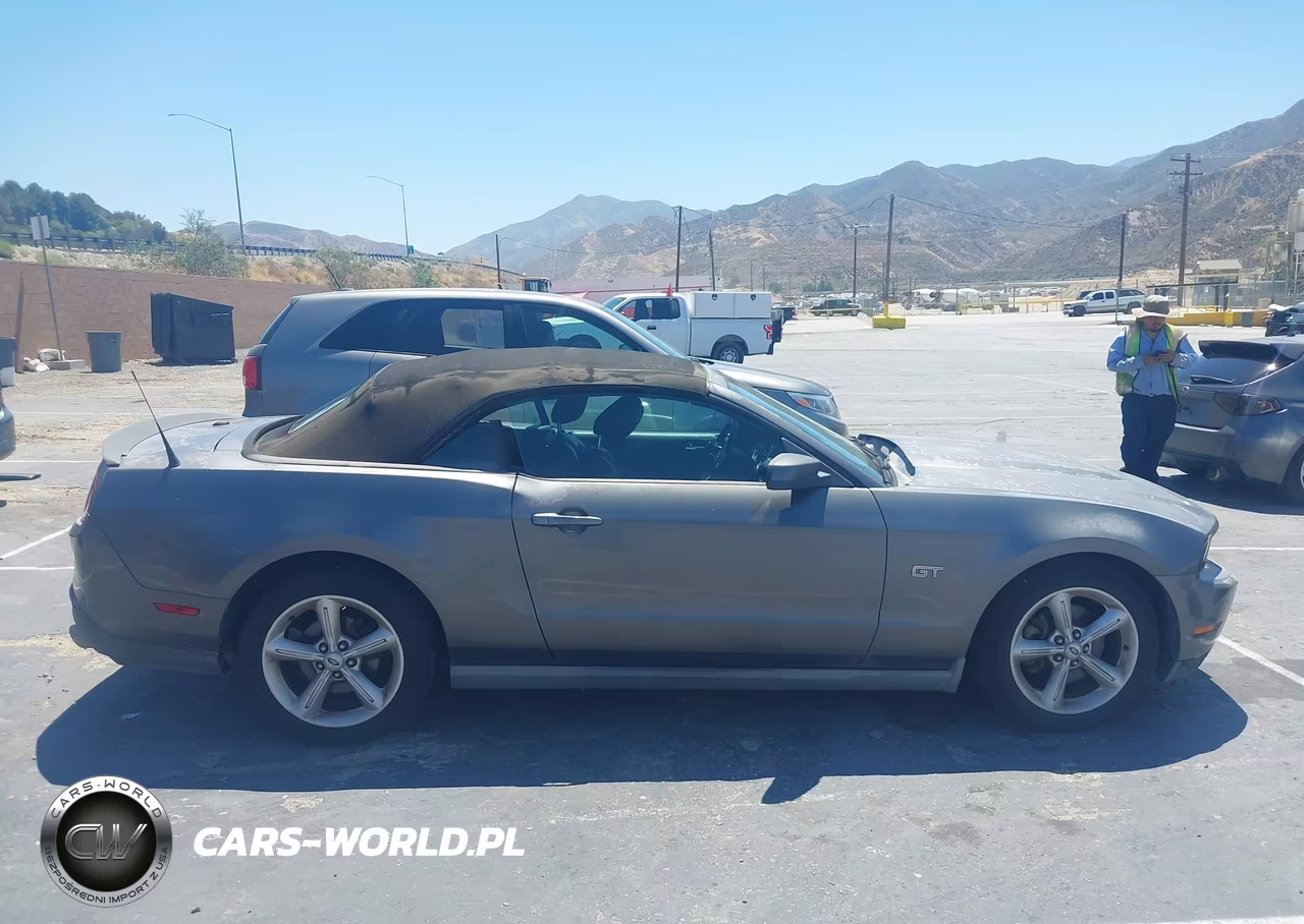 2010 Ford Mustang Gt-Gt Premium VIN:1ZVBP8FH9A5115231 - 13