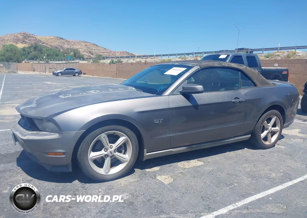 2010 Ford Mustang Gt-Gt Premium VIN:1ZVBP8FH9A5115231 - 14