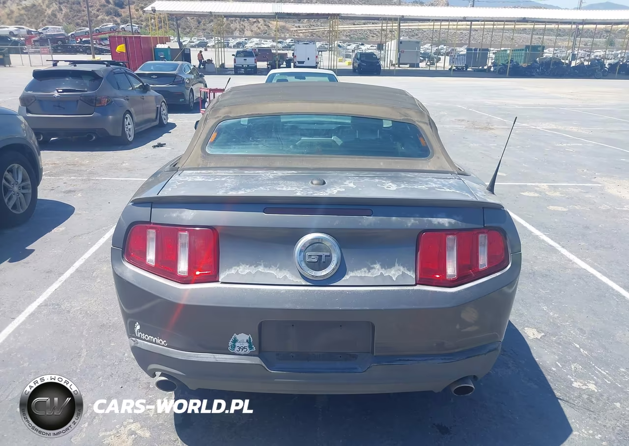 2010 Ford Mustang Gt-Gt Premium VIN:1ZVBP8FH9A5115231 - 16