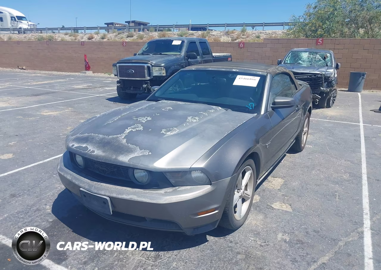 2010 Ford Mustang Gt-Gt Premium VIN:1ZVBP8FH9A5115231 - 2