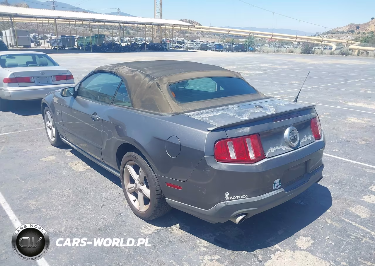 2010 Ford Mustang Gt-Gt Premium VIN:1ZVBP8FH9A5115231 - 3