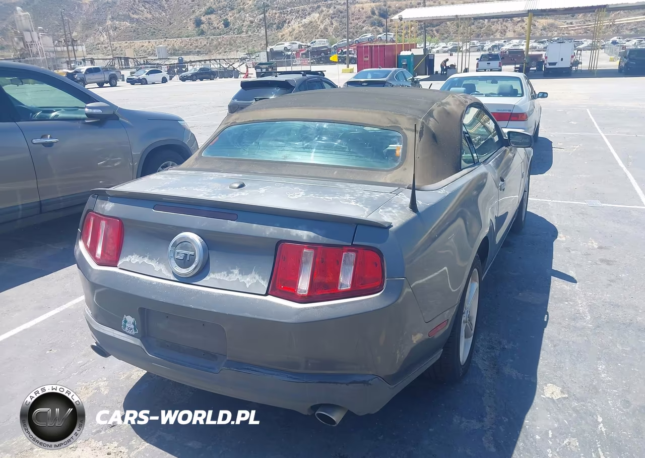 2010 Ford Mustang Gt-Gt Premium VIN:1ZVBP8FH9A5115231 - 4