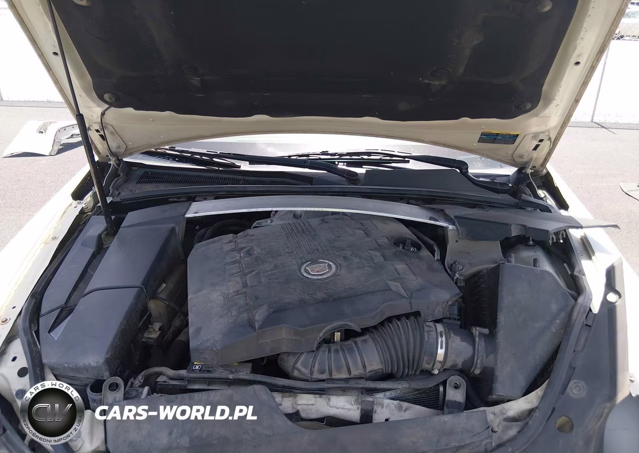 2010 Cadillac Cts Premium VIN:1G6DP5EV5A0104146 - 10