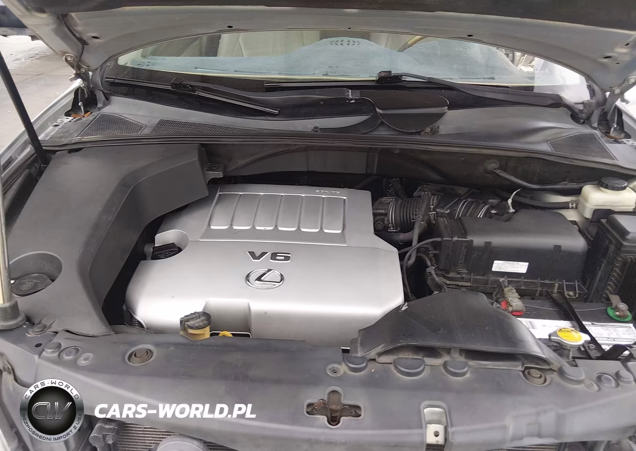 2007 Lexus Rx 350 VIN:2T2GK31U67C003685 - 10