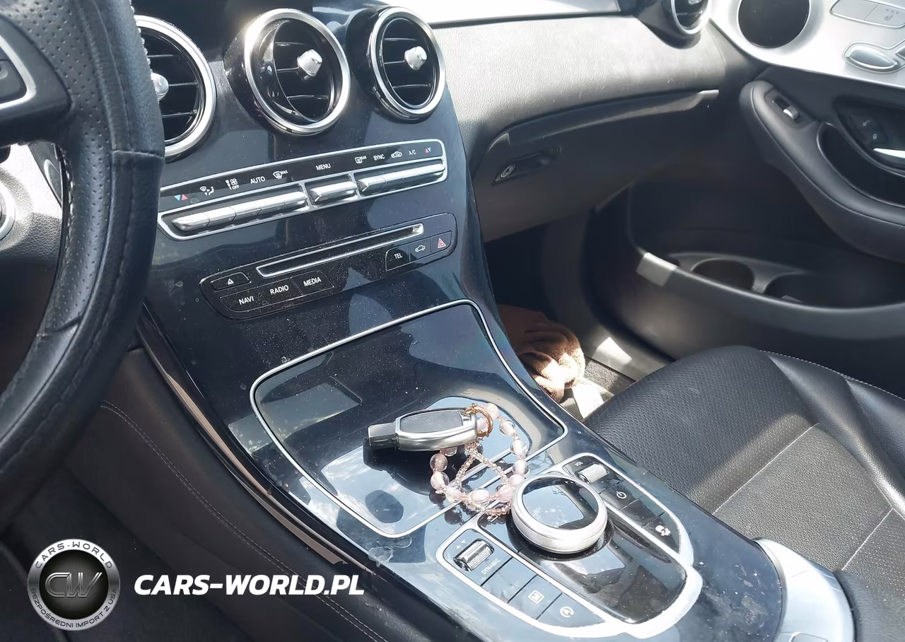 2017 Mercedes-Benz Glc 300 Coupe 4Matic VIN:WDC0J4KB1HF177145 - 11