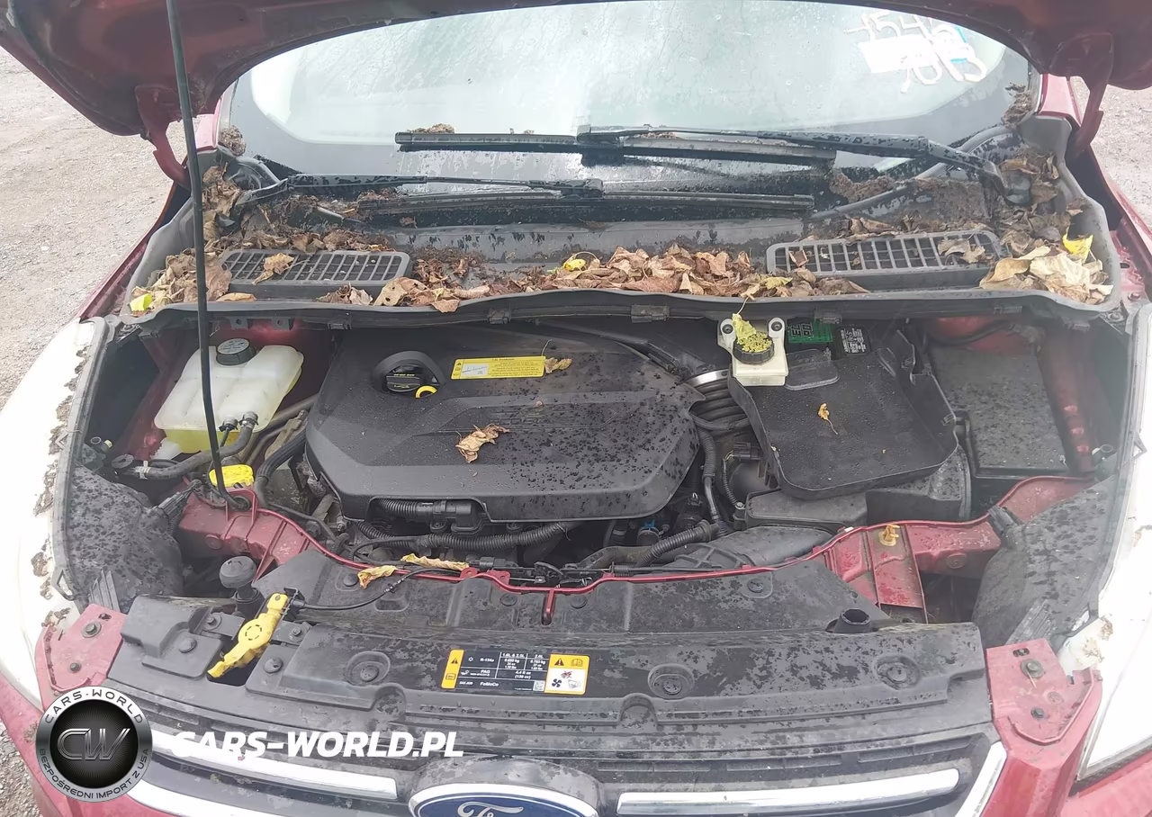 2013 Ford Escape Sel VIN:1FMCU9HX0DUD21702 - 10