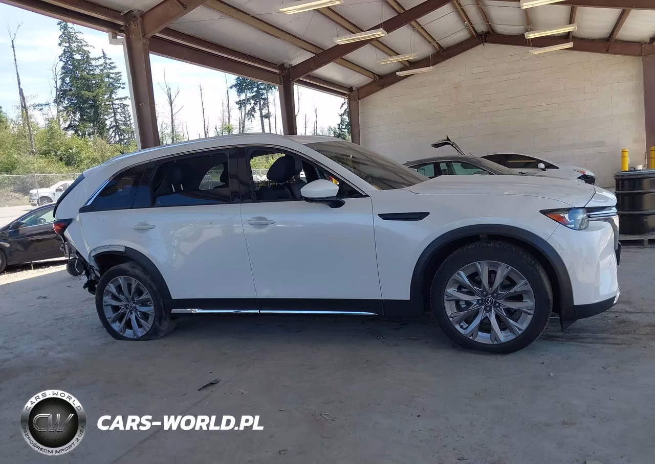 2024 Mazda Cx-90 3.3 Turbo Premium VIN:JM3KKDHD3R1165363 - 13