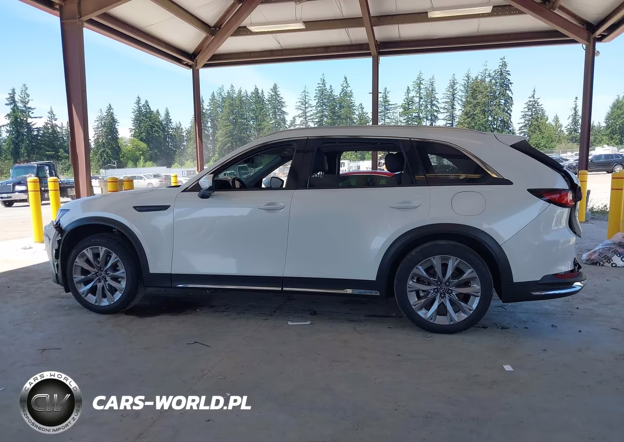 2024 Mazda Cx-90 3.3 Turbo Premium VIN:JM3KKDHD3R1165363 - 14