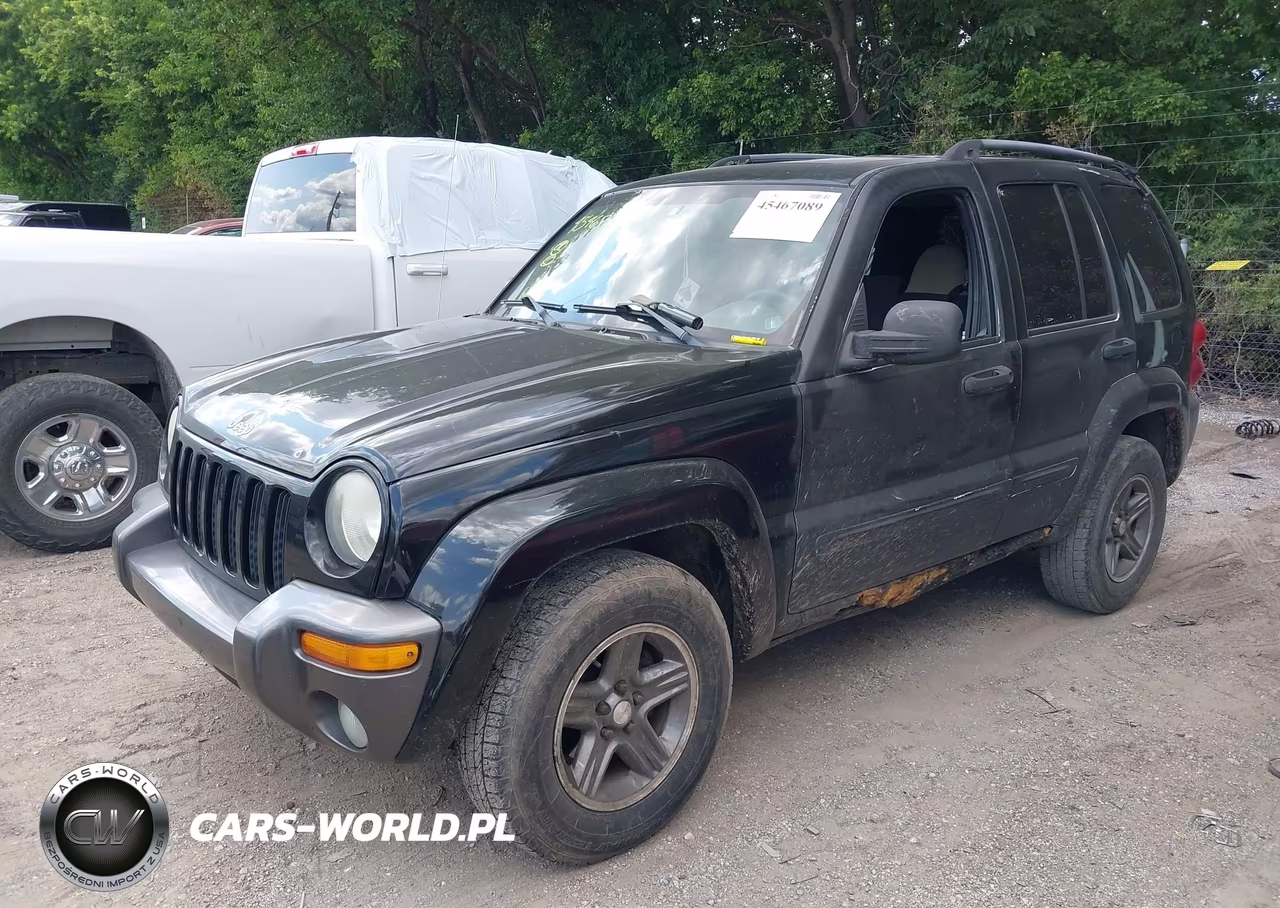 2004 Jeep Liberty Sport VIN:1J4GL48K24W317441 - 2