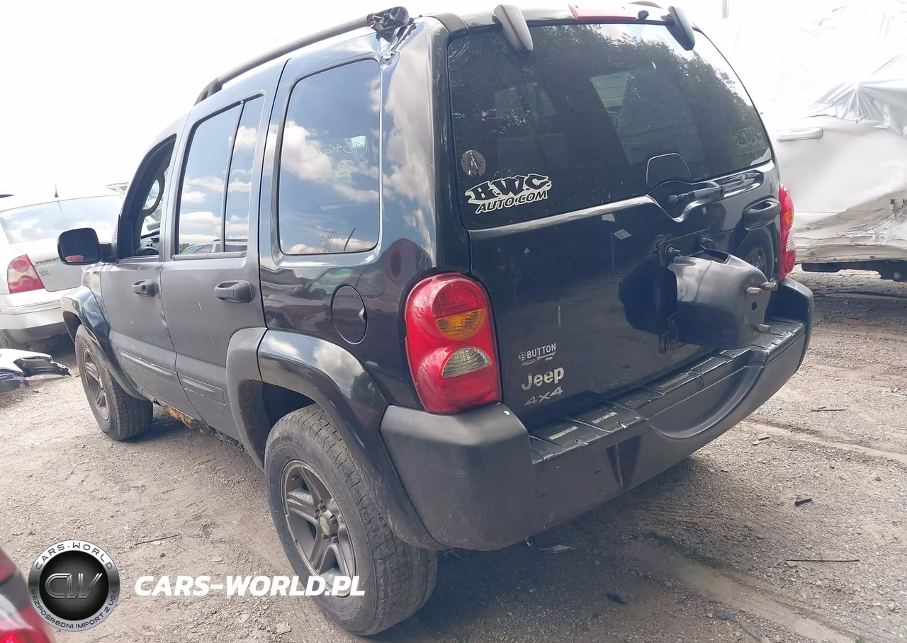 2004 Jeep Liberty Sport VIN:1J4GL48K24W317441 - 3