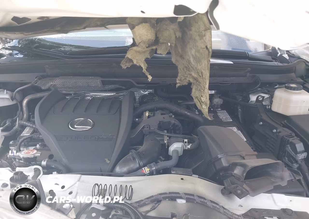 2025 Lexus Rx 350 Premium Plus VIN:2T2BAMCA1SC103255 - 10
