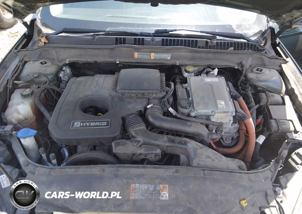 2016 Ford Fusion Hybrid Se VIN:3FA6P0LU7GR175561 - 10