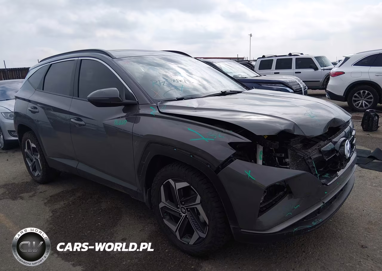 2024 Hyundai Tucson Sel VIN:5NMJFCDE9RH398073 - 14